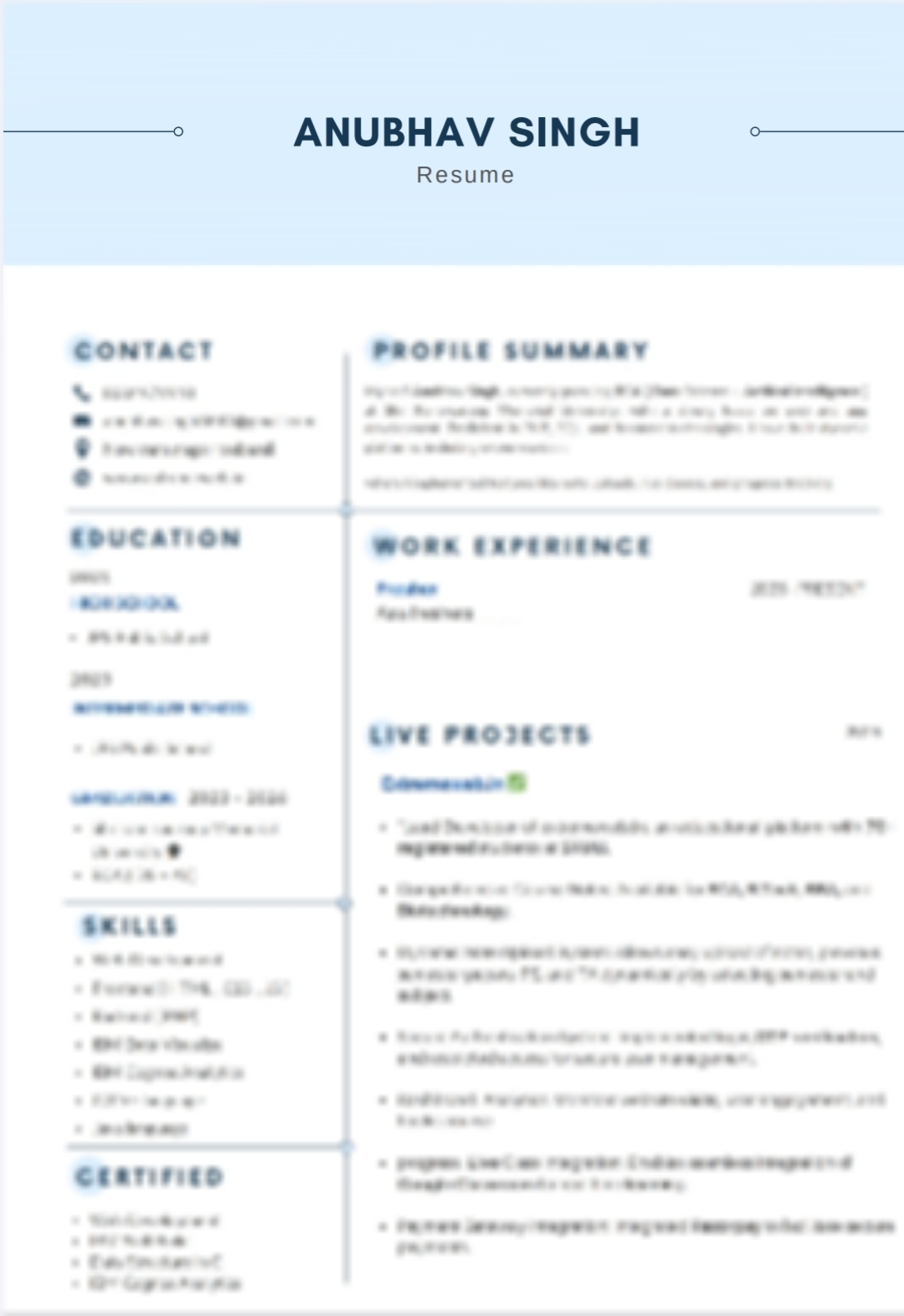 Resume Preview